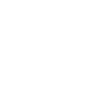 Elevant Elevant